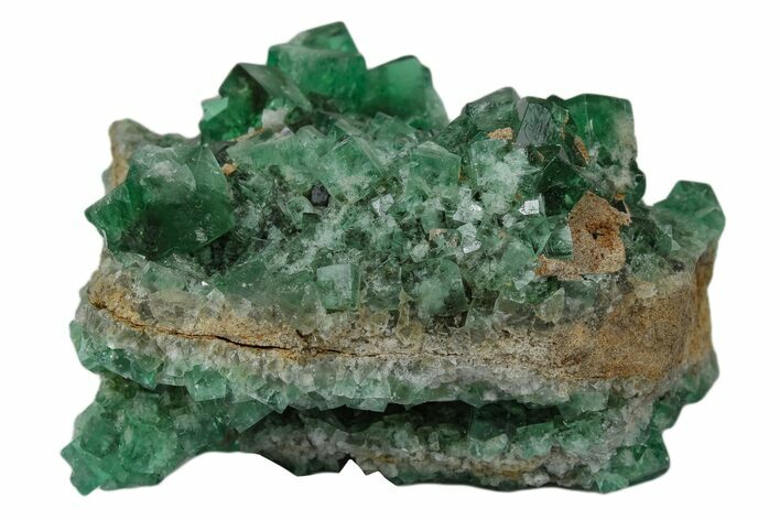 Fluorescent Green Fluorite Cluster - Rogerley Mine, England #173995